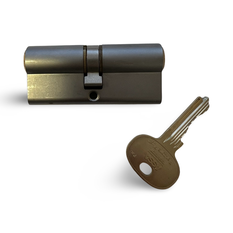 ASSA Flexcore Plus Double Euro Cylinder