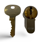 ASSA Flexcore Plus Double Euro Cylinder