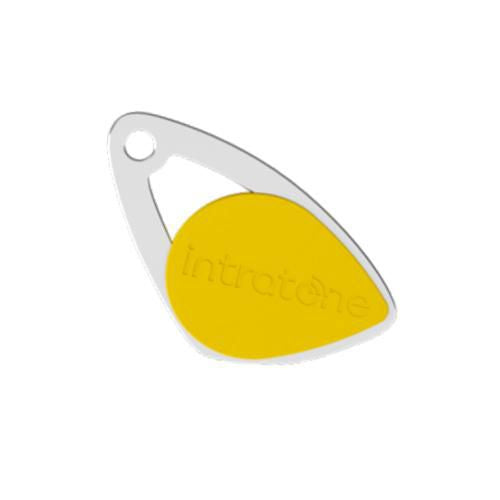 Intratone Key Fob