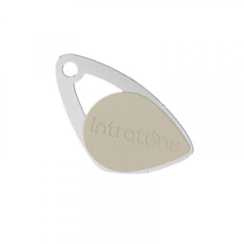 Intratone Key Fob
