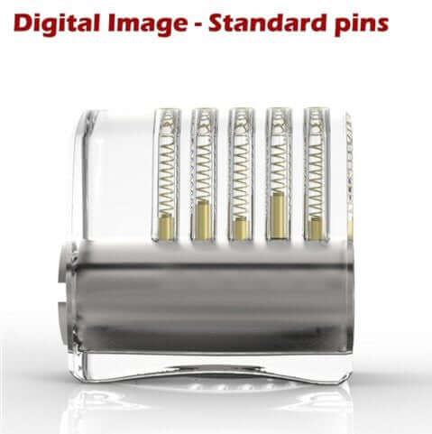 Dangerfield Clear Acrylic Practice Lock - Standard Pins
